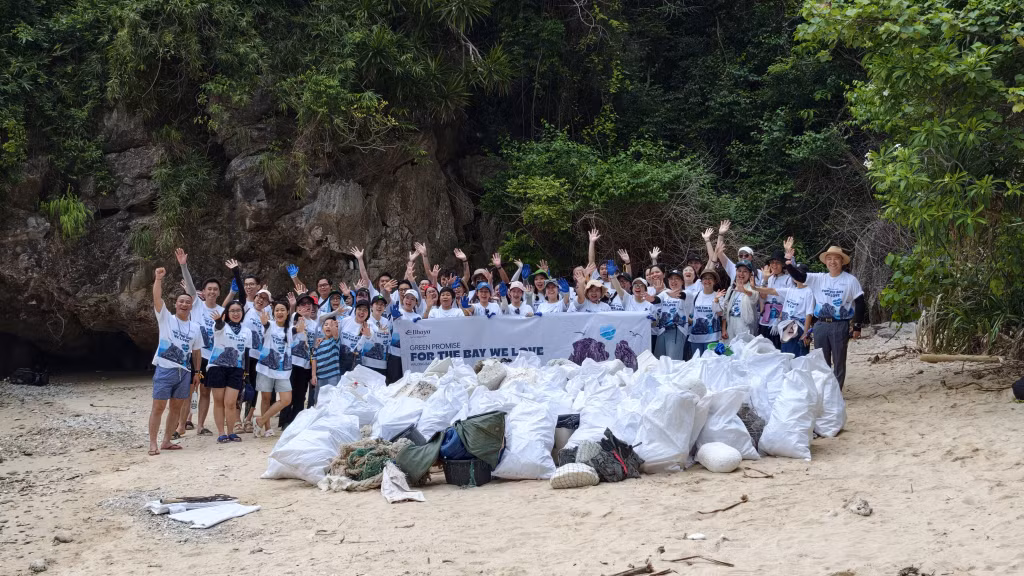 近10年来，“Clean the Bay”活动持续开展，为打造绿色下龙湾旅游品牌发挥了重要作用。