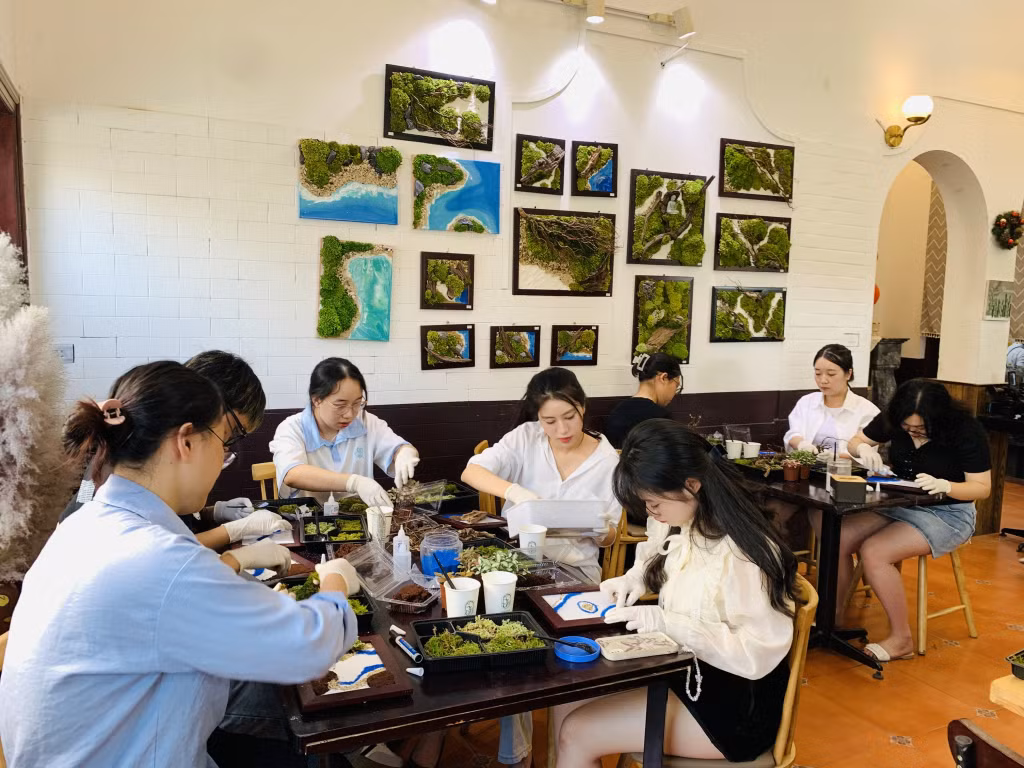 下龙市的苔藓绘画工作坊吸引了许多参与者，尤其是年轻人。