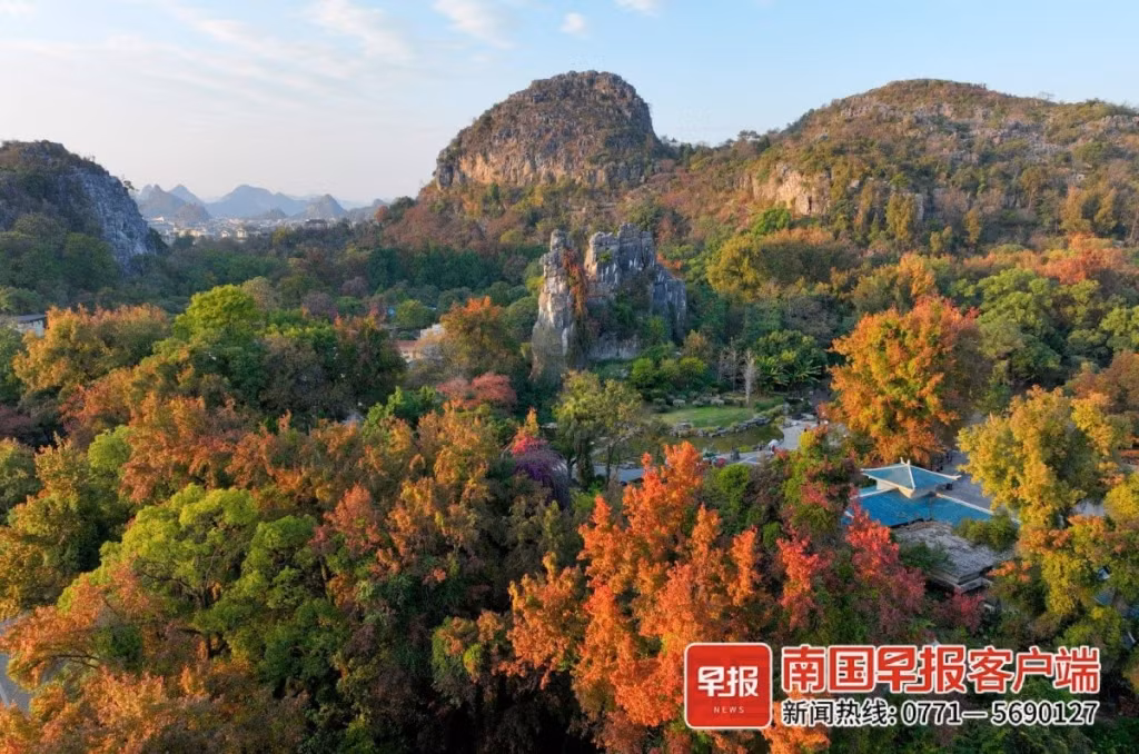 七星公园层林尽染。李腾钊 摄 Công viên Thất Tinh với khu rừng đầy màu sắc . Ảnh của phóng viên Lý Đằng Chiêu