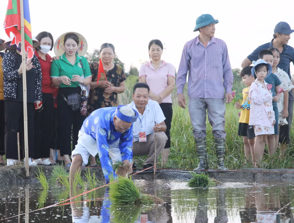 广安市风谷坊下田节