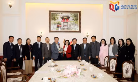 越南广宁市工作代表团与越南驻俄罗斯大使馆举行工作会谈