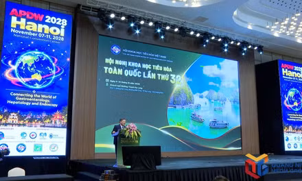 1000多名代表出席第32届越南全国消化科学学术会议