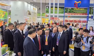 越南广宁市50多种“一乡一品” （OCOP）产品亮相第23届中国—东盟博览会