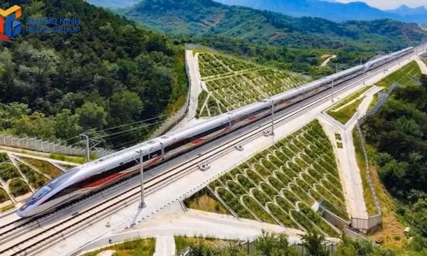 2026年前8个月广宁市吸引外商直接投资超11亿美元