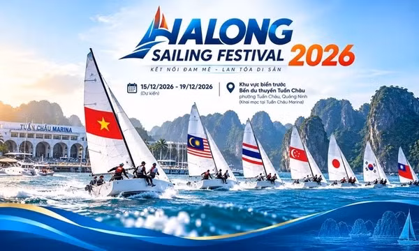 广宁市举办2026年下龙湾国际帆船赛