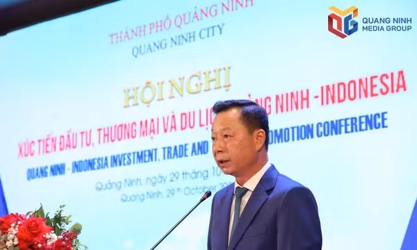 2026年越南广宁市—印度尼西亚投资促进会议