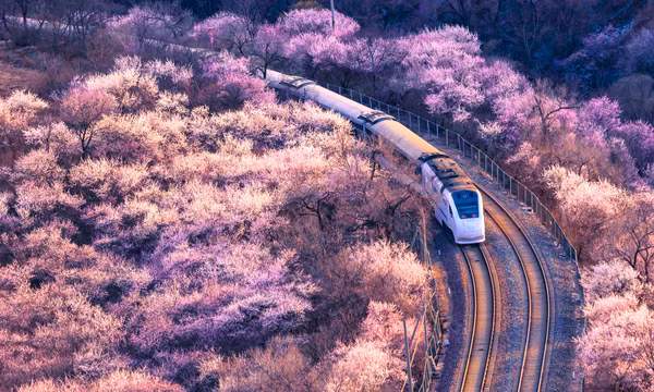 春天里的列车