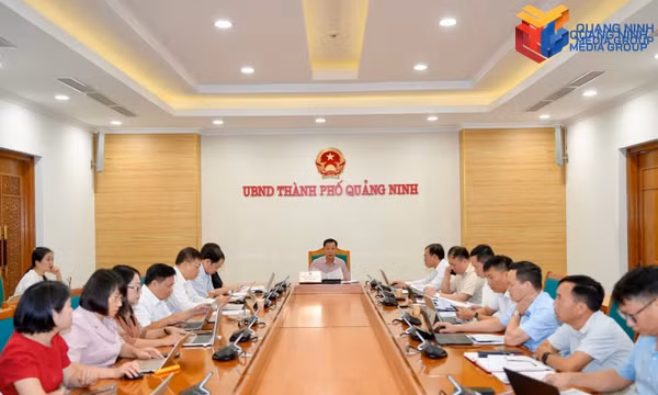 广宁市推进与中国广西全方位合作