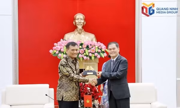 越南广宁市人民委员会主席礼节性会见印度尼西亚代表团