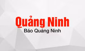 Liên hệ quảng cáo