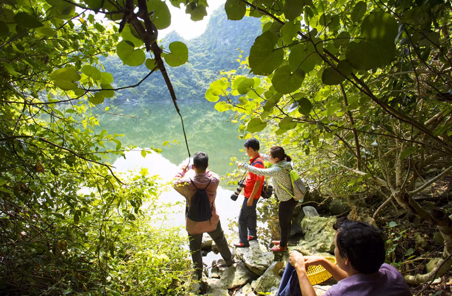 泾澙湖区域富含生物多样性，地质学家和生物学专家对此进行了考察。