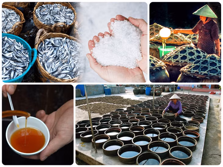 平顺潘切金鱼鱼露 Nước mắm Con Cá Vàng Phan Thiết (Bình Thuận)