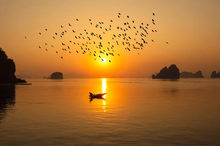 拜子龙湾蓬莱仙境般的朦胧景 色让无数人为之心动，这里拥 有数百个大大小小的岛屿，一 块块岩石星罗棋布般地散落在 海面上，将水天一色的画面与 岩石的坚固和荒寂完美地结合 在一起（图/成钟）Vịnh Bái Tử Long với cảnh sắc tựa chốn bồng lai tiên cảnh cũng khiến bao người rung động. Với hàng trăm hòn đảo lớn nhỏ khác nhau, Vịnh Bái Tử Long là sự kết hợp hài hòa của cảnh sắc thiên nước hữu tình cùng sự oai vệ, hoang sơ của những núi đá nằm rải rác khắp cả một vùng. (Ảnh/Thành Chung)