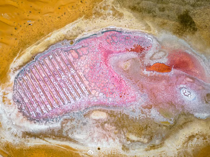 腾格里沙漠里的湖泊有多美 ảnh 3