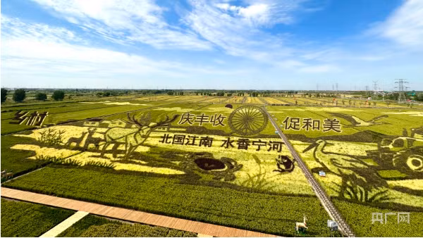 世界最大3D稻田画在中国天津诞生 ảnh 1
