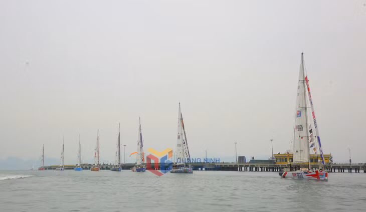 享受下龙湾帆船巡游 ảnh 10