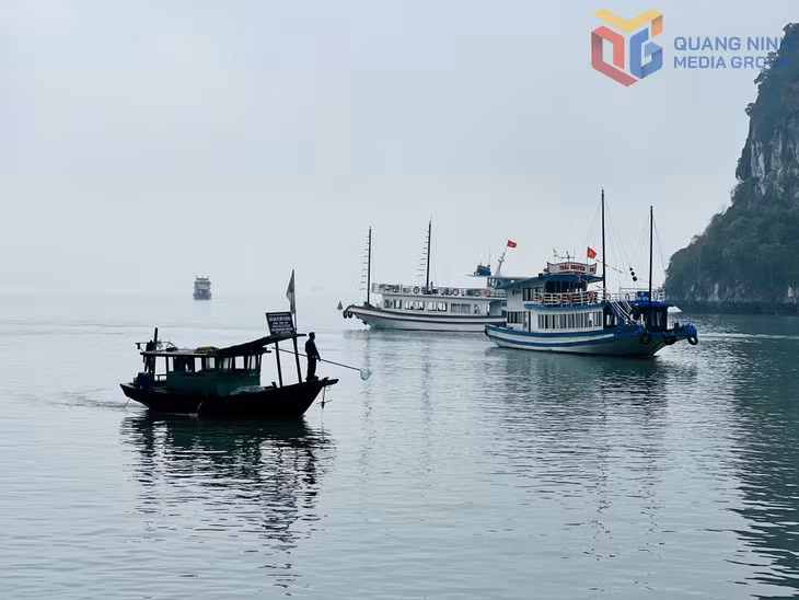 水面垃圾打捞船连续进行工作，不让垃圾在水面上漂浮。