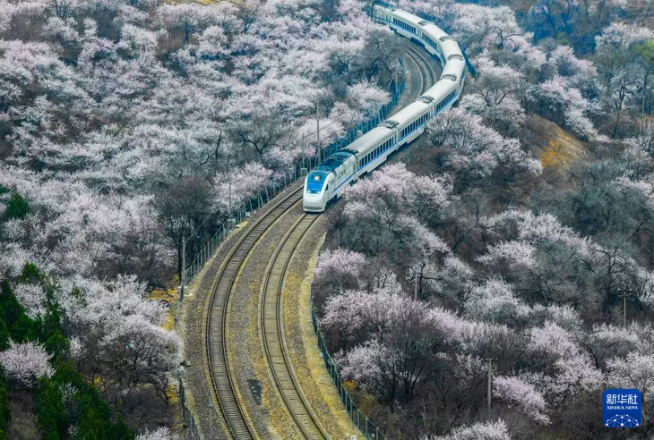 春到居庸关 ảnh 3