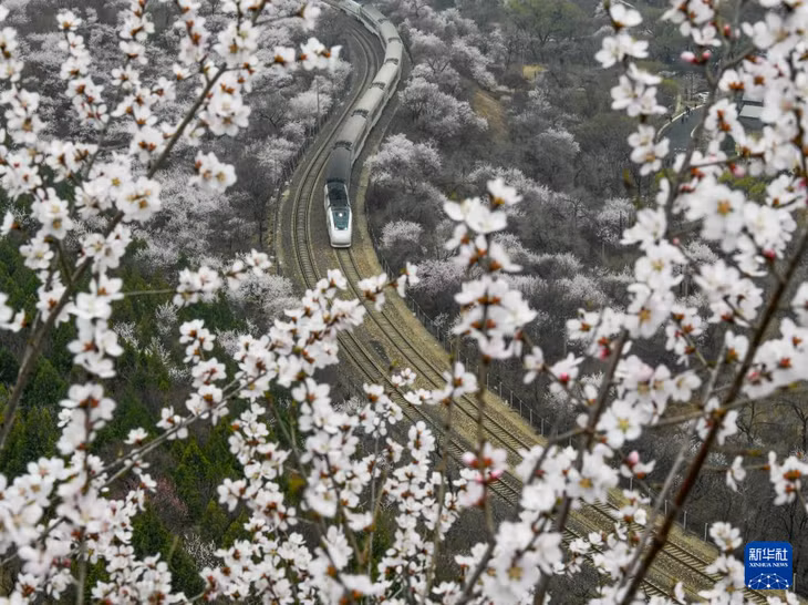 春到居庸关 ảnh 2