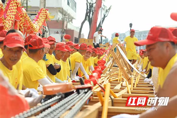 龙舟登江前420名划手相互鼓励 420 tay chèo cổ vũ nhau trước khi thuyền rồng được đưa xuống sông
