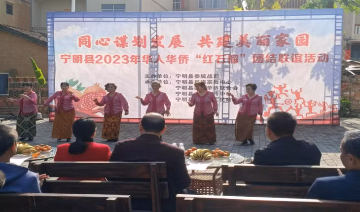 华人华侨表演民族舞蹈（吕远潮 摄） Người Hoa và Hoa kiều biểu diễn múa dân tộc (Lữ Viễn Triều chụp)