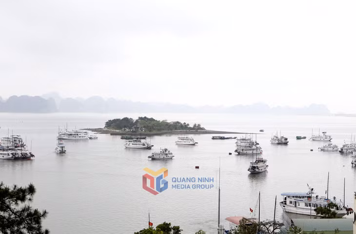 2008年下龙市雷乌岛地区。