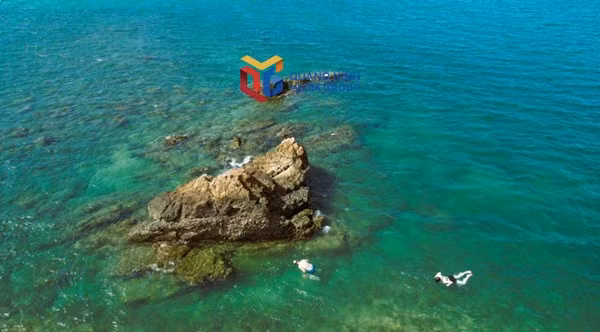 游客在 青麟岛体验浮潜。