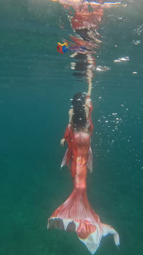 鱼尾潜水是一项新的旅游产品，于2025年夏季向游客开放。