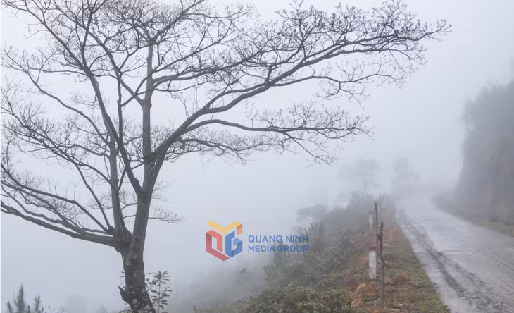 蜿蜒曲折的山路在雾气弥漫中，呈现出一种神奇而诗意的美景。