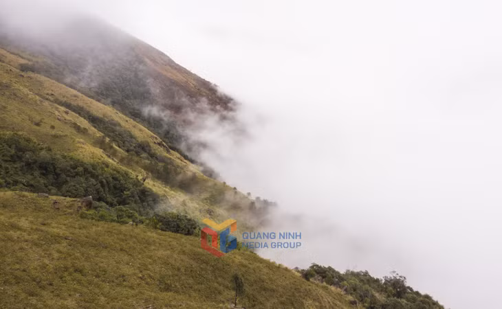 高丽山又名孤山，距平辽县旭洞乡中心 10 多公里。这里时常云雾缭绕，仿若世外桃源。这里是野餐、登山观光、徒步旅行、寻云和过夜露营的理想场所。