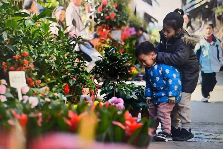 南宁市花鸟市场鲜花区一角。雷琦竣 摄 Một góc khu vực hoa tươi của chợ hoa và chim thành phố Nam Ninh. Ảnh của phóng viên Lôi Kỳ Tuấn
