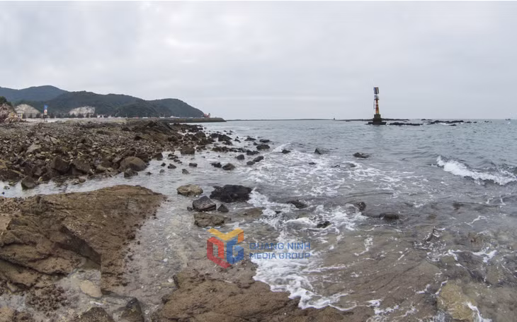 来到陈岛，你可以选择上山去森林，也可以下山去海边。静静地站在岩石上，听海浪唱着大海的情歌。