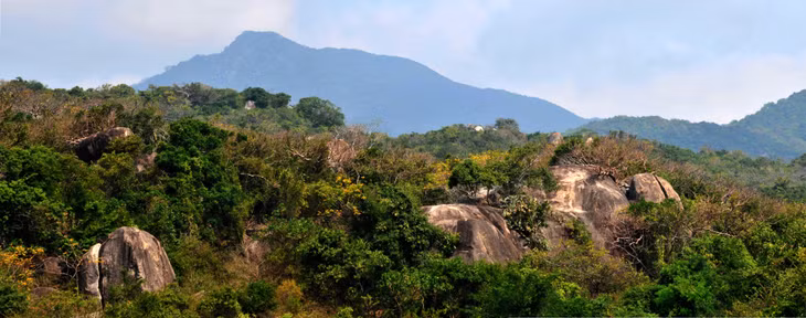 宁顺省主山一角。（图：金山） Một góc núi chúa Ninh Thuận. (Ảnh: Kim Sơn)