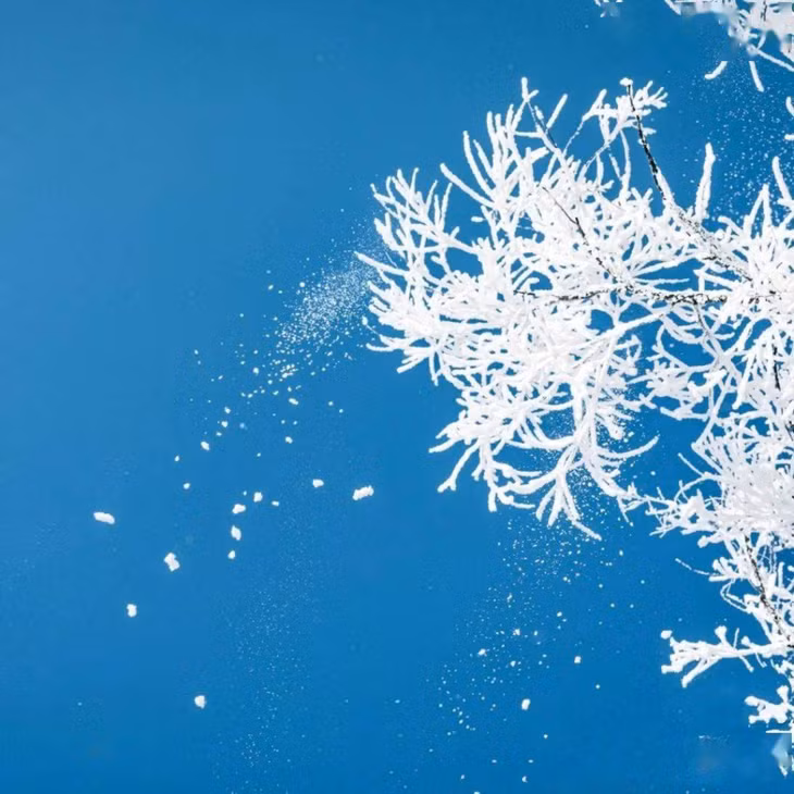 “雪龙2”号极地科考船上海开启中国第39次南极考察之行 ảnh 9