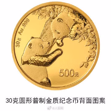 中越联合保护东黑冠长臂猿有成效 ảnh 4