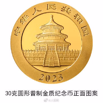 中越联合保护东黑冠长臂猿有成效 ảnh 3