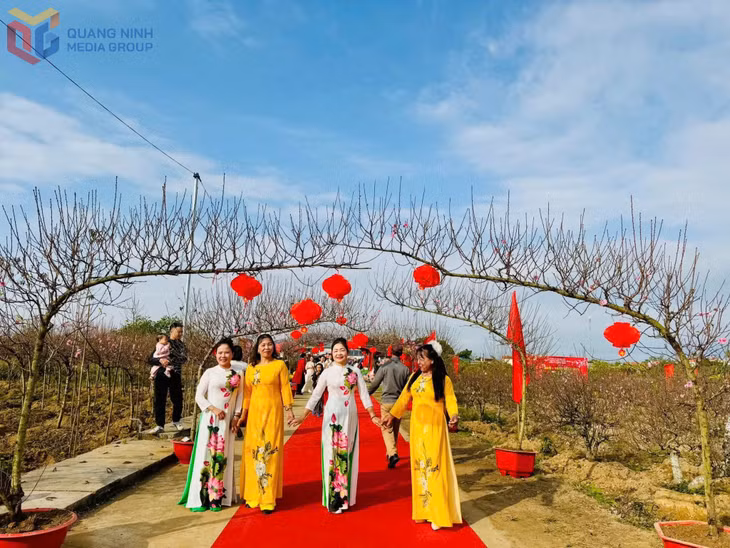 游客参观2026年广河乡举办的桃花与盆景展。