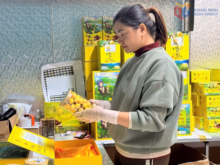 波制黄花茶药料合作社注重改良OCOP产品包装与设计，旨在满足消费者日益增长的馈赠需求。