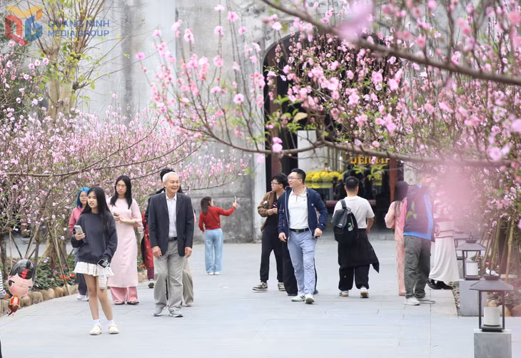 安子名胜遗迹区迎来踏青热潮。