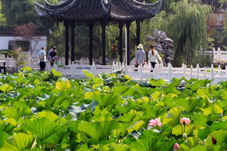 二十四节气：蕴含中国先民智慧的古老历法 ảnh 4
