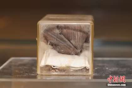 神舟十四号载人飞船发射取得圆满成功 3名航天员顺利进驻天和核心舱 ảnh 2