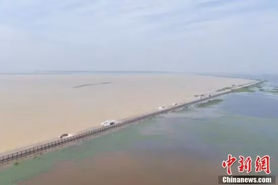 江西鄱阳湖畔再现“限时”景观“水上公路” ảnh 1