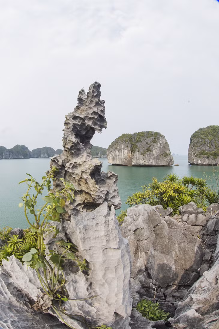 杜庆江摄影家镜头下的下龙湾 ​​​ ảnh 4