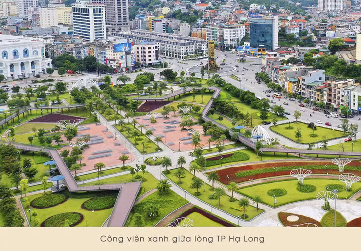 下龙市的绿色公园。