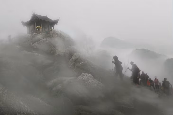 作品《雾中安子》获得荣誉勋带奖。