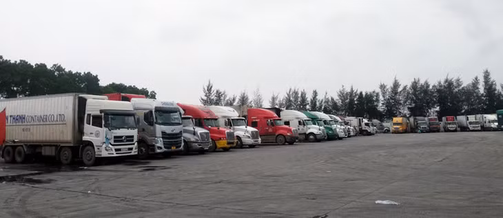 xe container mc