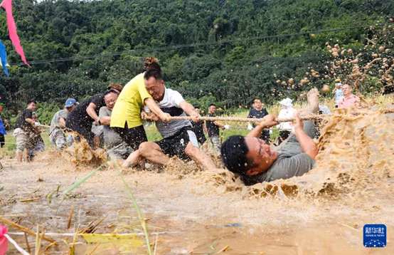 云南省勐腊县关累镇曼丢村的村民在该村的迎国庆水田拔河比赛中奋勇拼搏。 Người dân thôn Man Đu, thị trấn Quan Lũy, huyện Mãnh Lạp, tỉnh Vân Nam thi đấu hết mình trong cuộc thi kéo co trên ruộng lúa của làng để chào mừng Quốc khánh.