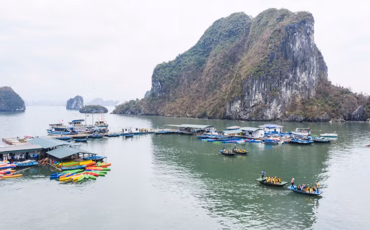 在政府和人民共同净化海洋环境的努力下，下龙湾的海洋环境再次变成一片洁净的蓝色。
