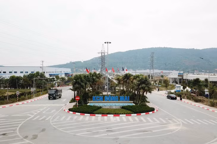 东梅工业区