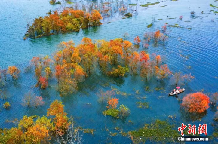 航拍赣江江西吉水段水域红树林 景色美如画 ảnh 4